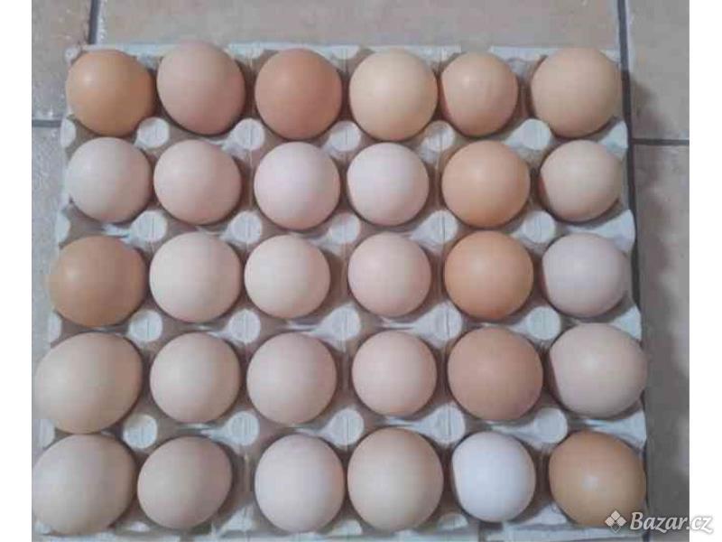 Snesené vejce 