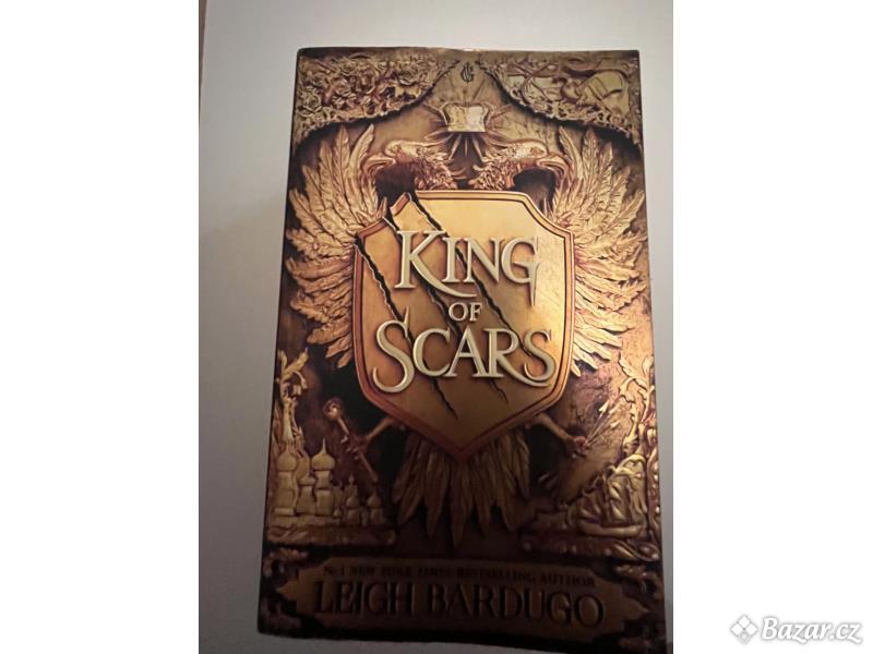kniha “king of scars”