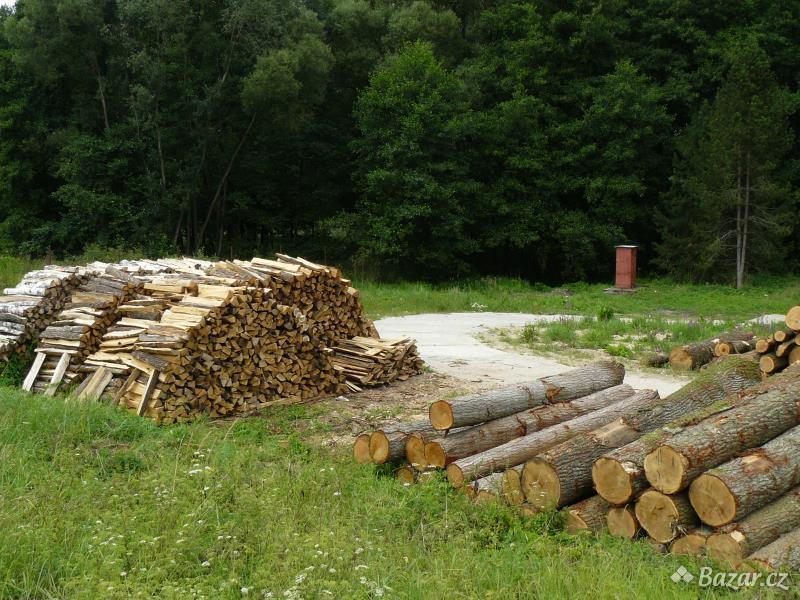 Koupím dřevo z těžby