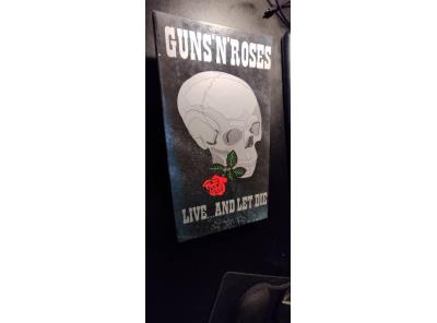 Raritni koncertni 2xalbum Guns 'n Roses z roku 1991