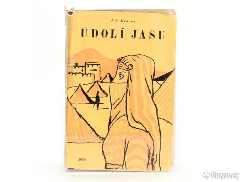 Kniha Jiří Hronek: Údolí jasu