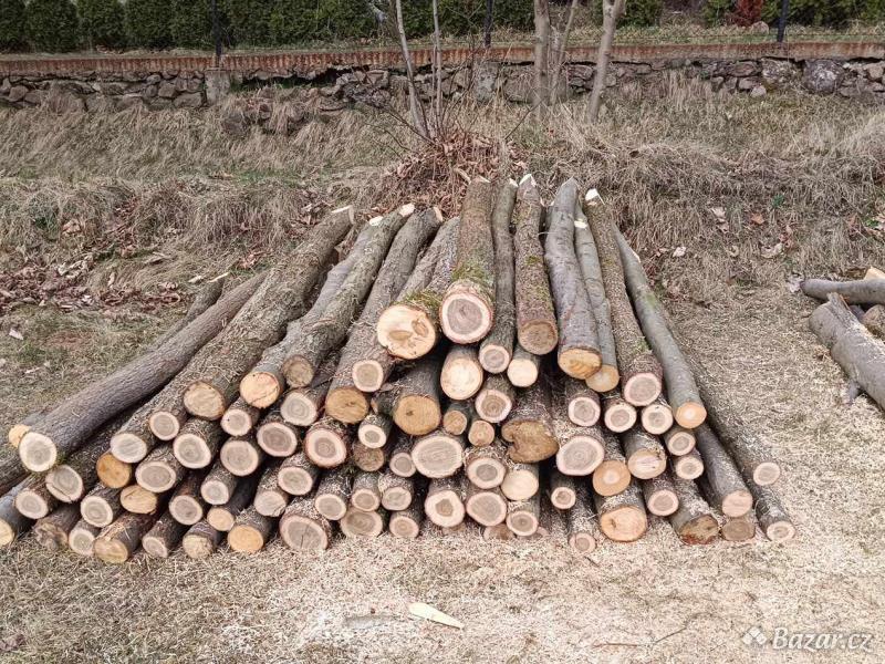 Tvrdé palivové dřevo a dubové kůly 