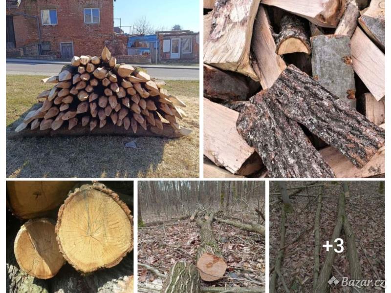 Palivové dřevo a dubové kůly 