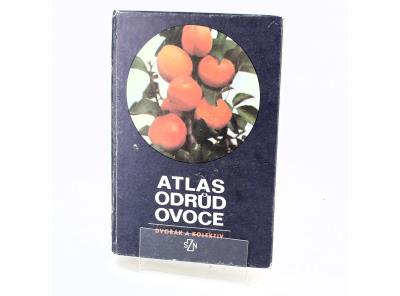 Kniha Dvořák et al.: Atlas odrůd ovoce