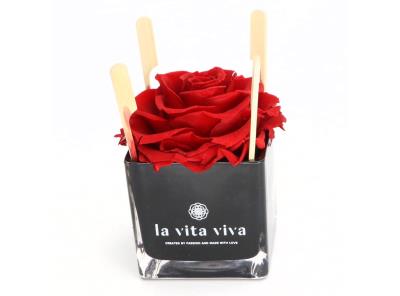 Červená růže ve skle LA VITA VIVA ‎