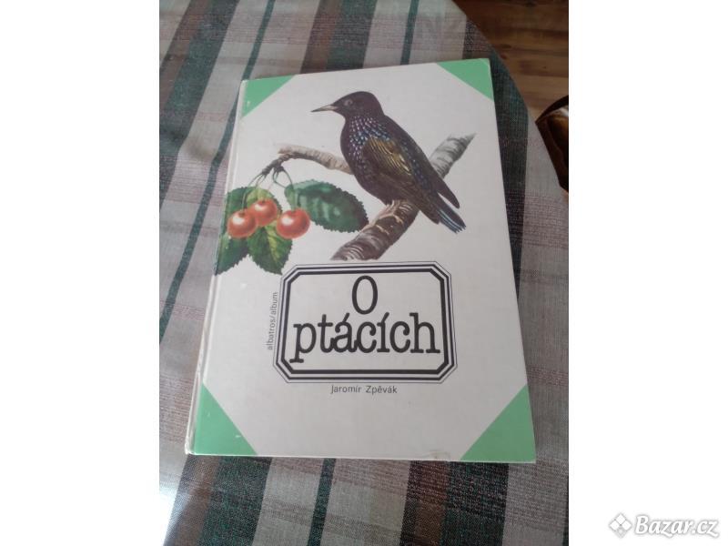 O ptácích - pro děti