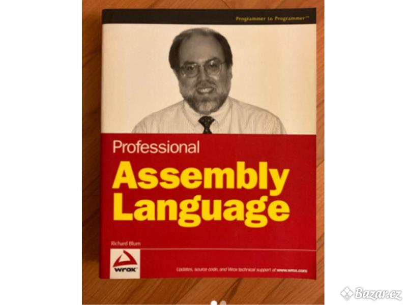 Professional Assembly Language