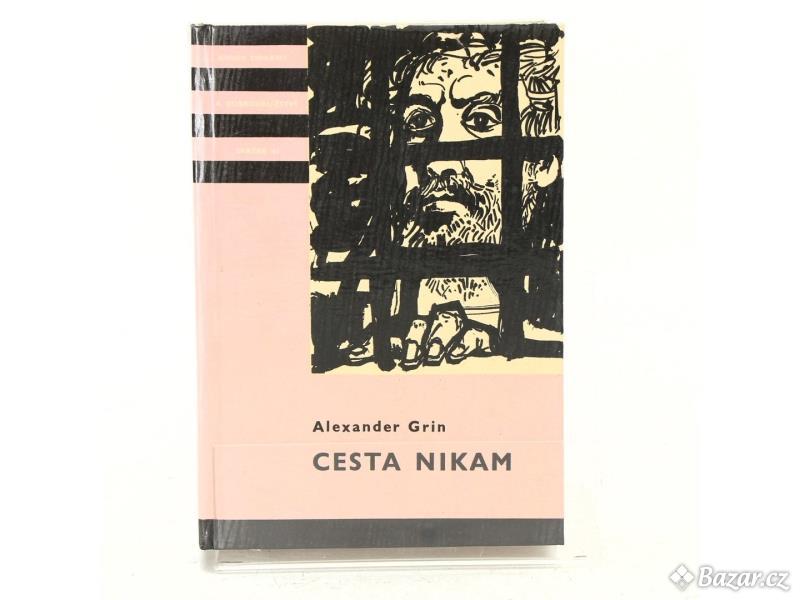 Alexandr Stěpanovič Griněvskij: Cesta nikam